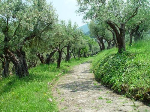 Hotel Villa Vecchia Monte Porzio Catone Экстерьер фото