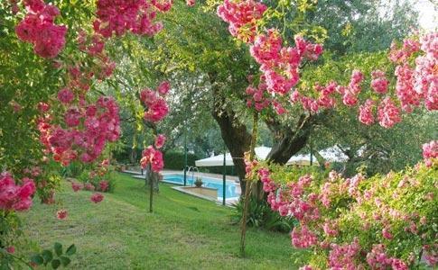 Hotel Villa Vecchia Monte Porzio Catone Экстерьер фото